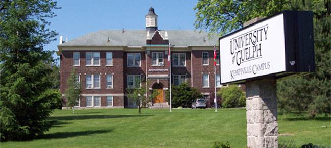 圭尔夫大学论文降重技巧有哪些