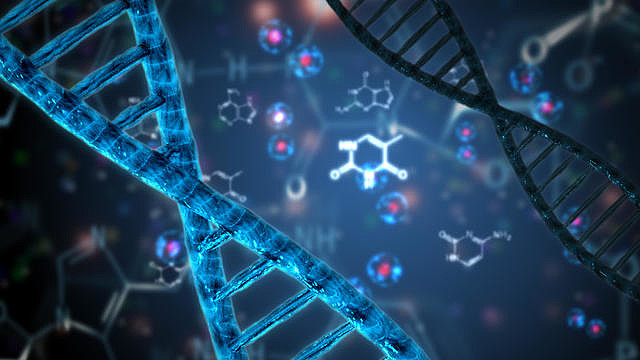 加拿大Biological（生物学专业）前景怎么样？