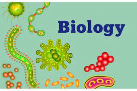 生物学留学课程辅导