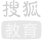 搜狐·年度品牌实力教育集团