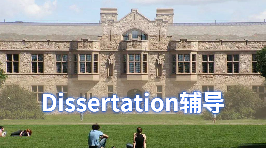 Dissertation辅导