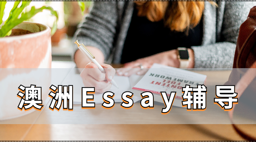 Essay辅导