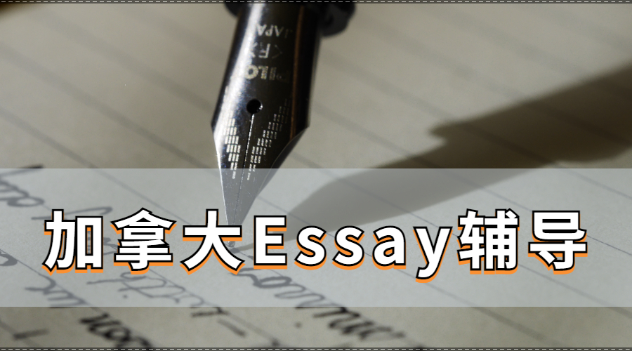 Essay辅导