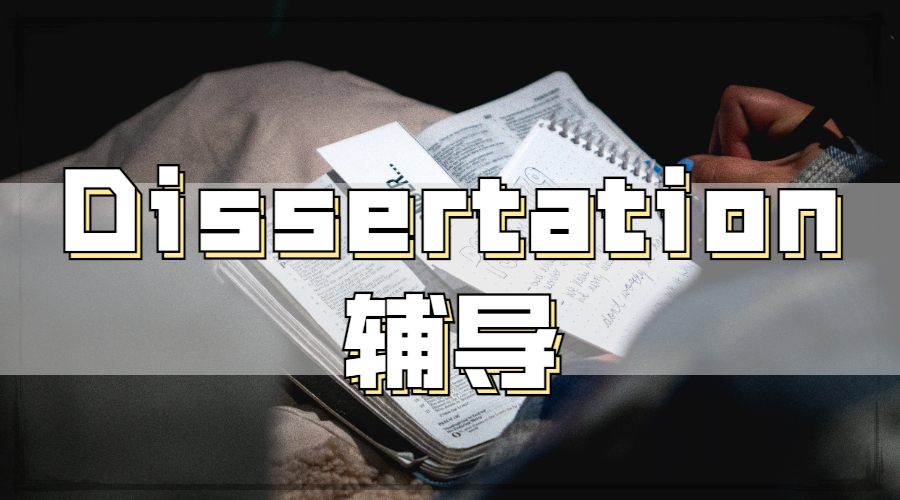 Dissertation辅导