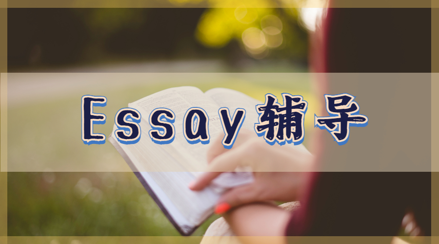 Essay辅导