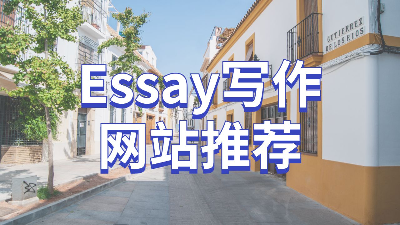 Essay辅导