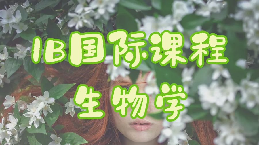 IB国际课程