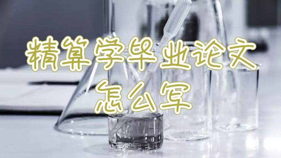 精算学毕业论文怎么写