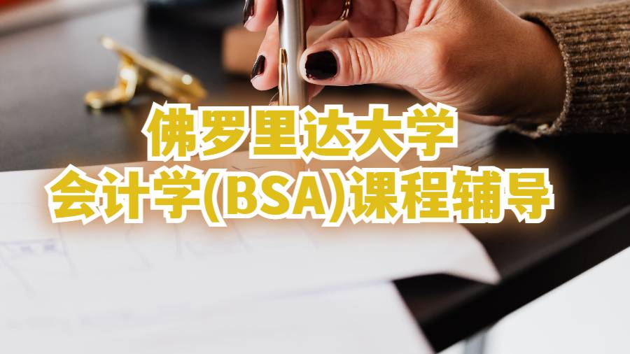 佛罗里达大学会计学(BSA)课程辅导