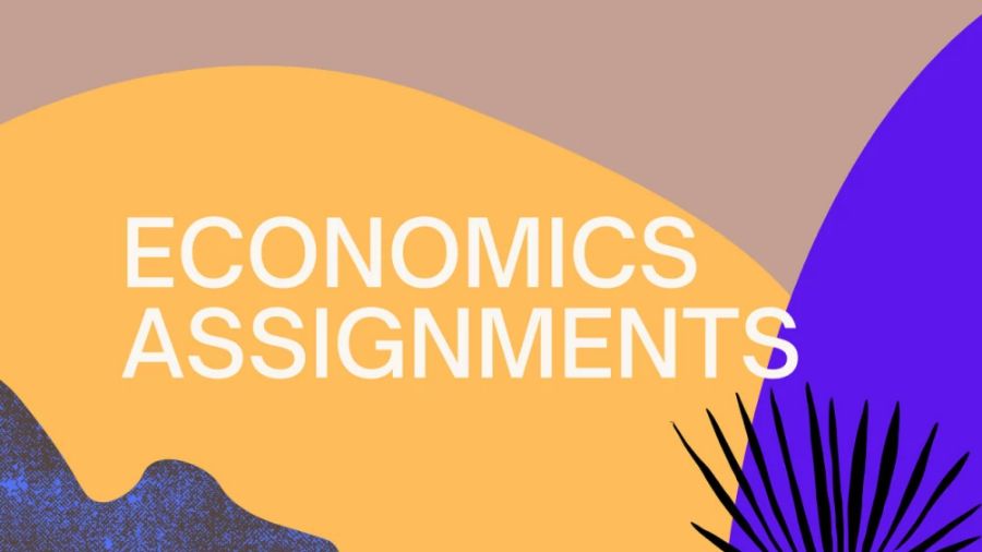 美国大学经济学作业怎么辅导