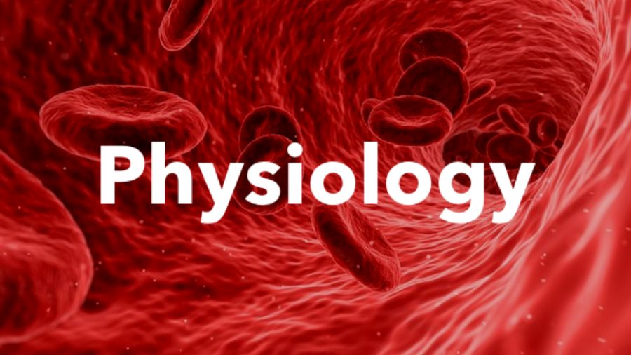 physiology