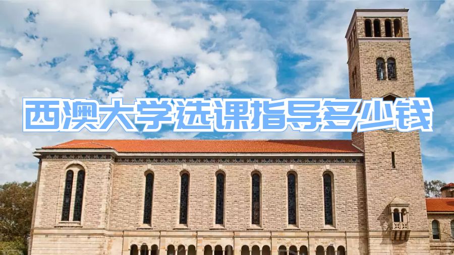 西澳大学选课指导多少钱