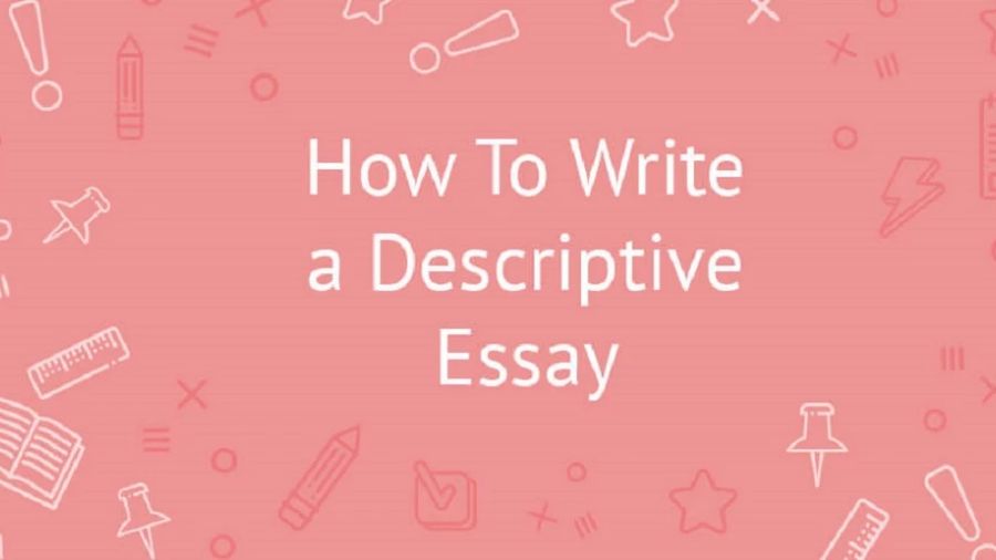 essay怎么写