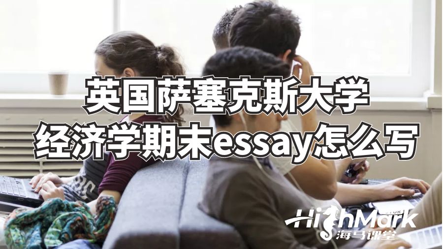 英国萨塞克斯大学经济学期末essay怎么写