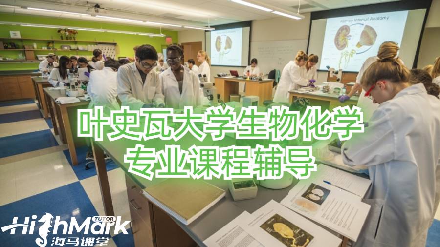 叶史瓦大学生物化学专业课程辅导