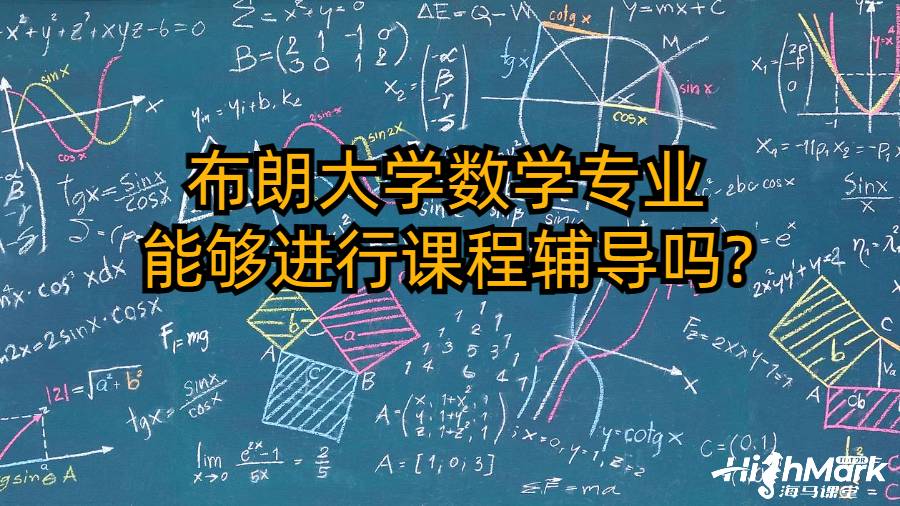 布朗大学数学专业能够进行课程辅导吗?