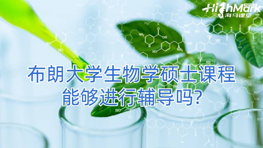 布朗大学生物学硕士课程能够进行辅导吗?