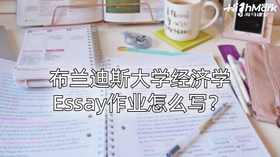 布兰迪斯大学经济学Essay作业怎么写？