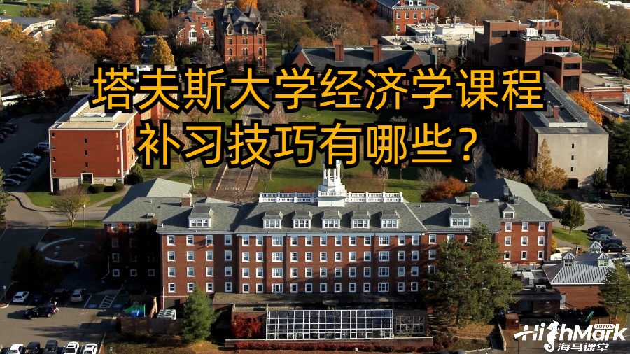 塔夫斯大学经济学课程补习技巧有哪些？