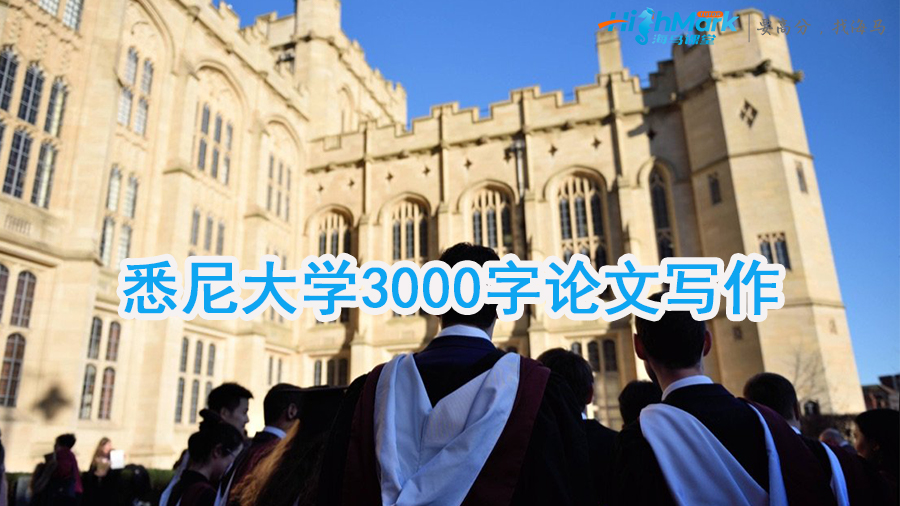 悉尼大学3000字论文写作