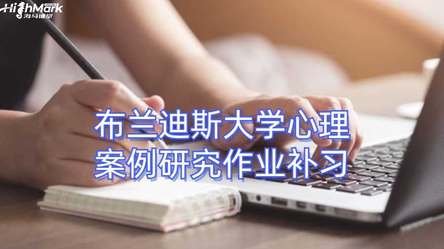 布兰迪斯大学心理案例研究作业补习