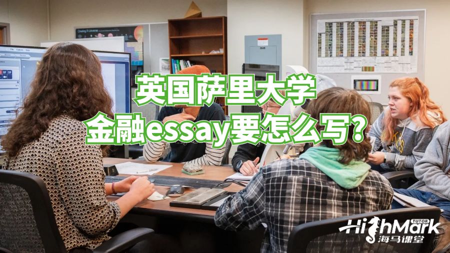 英国萨里大学金融essay要怎么写?