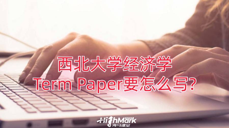西北大学经济学Term Paper要怎么写?