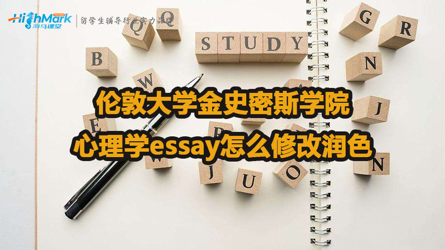伦敦大学金史密斯学院心理学essay怎么修改润色