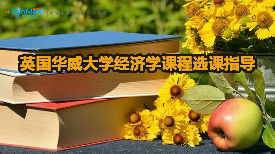 英国华威大学经济学课程选课指导