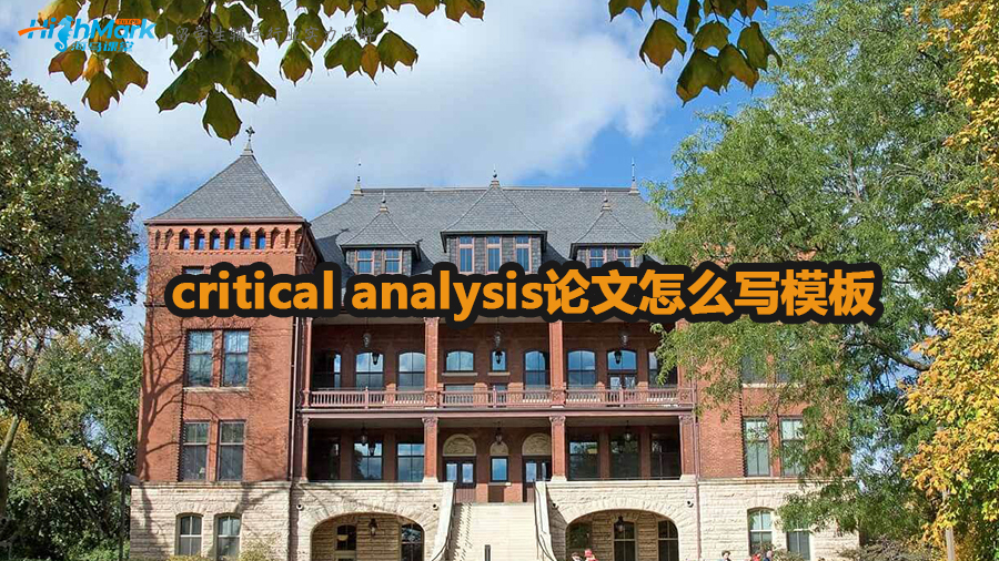 critical analysis论文怎么写