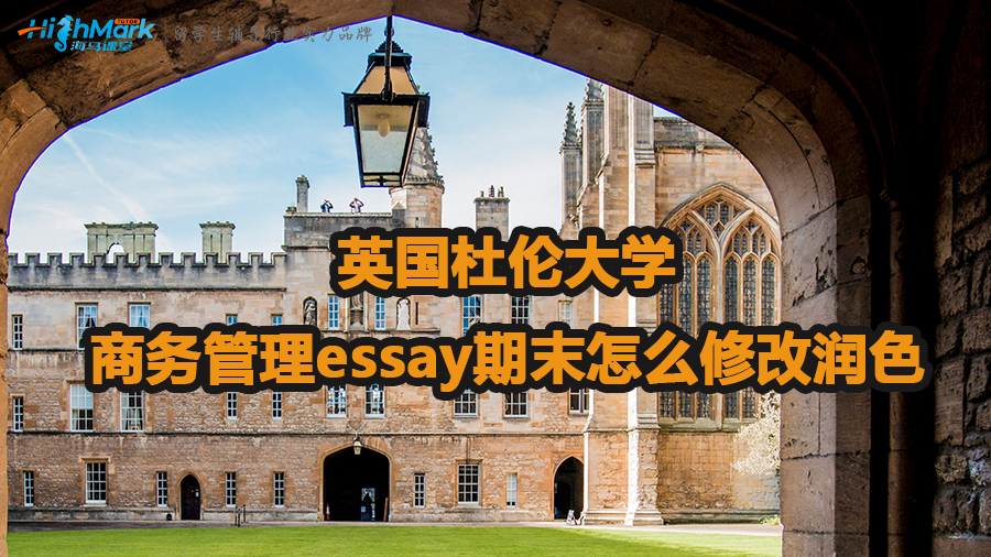 英国杜伦大学商务管理essay期末怎么修改润色