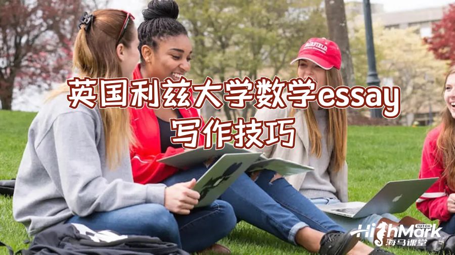 英国利兹大学数学essay写作技巧