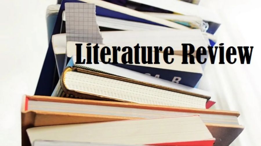 literature review怎么写