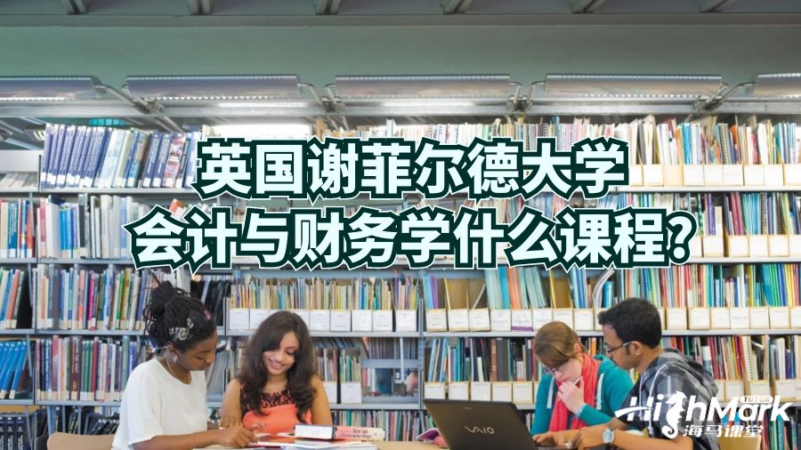 英国谢菲尔德大学会计与财务学什么课程?