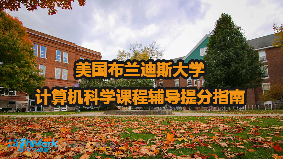 美国布兰迪斯大学计算机科学课程辅导提分指南