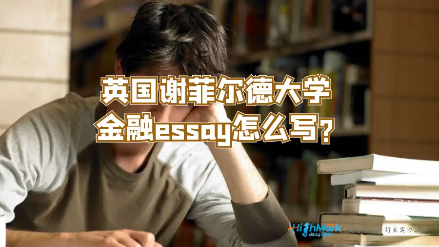 英国谢菲尔德大学金融essay怎么写?