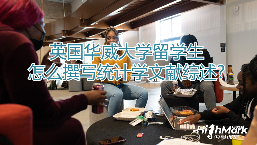 英国华威大学留学生怎么撰写统计学文献综述?