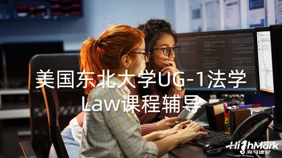 美国东北大学UG-1法学Law课程辅导