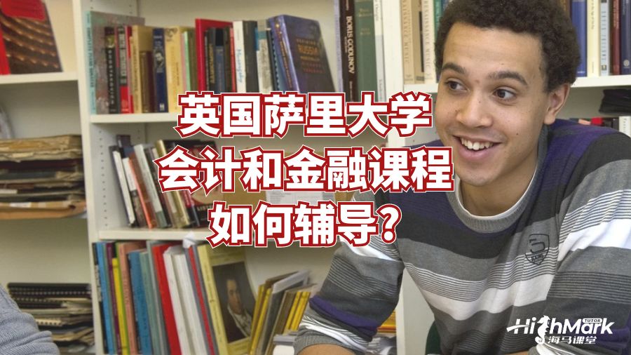 英国萨里大学会计和金融课程如何辅导?