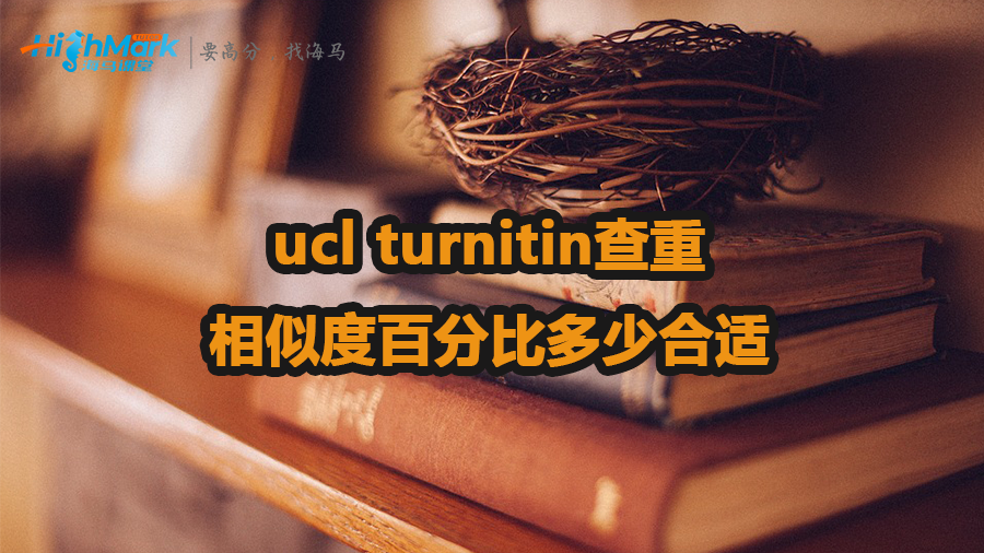 ucl turnitin查重相似度百分比多少合适