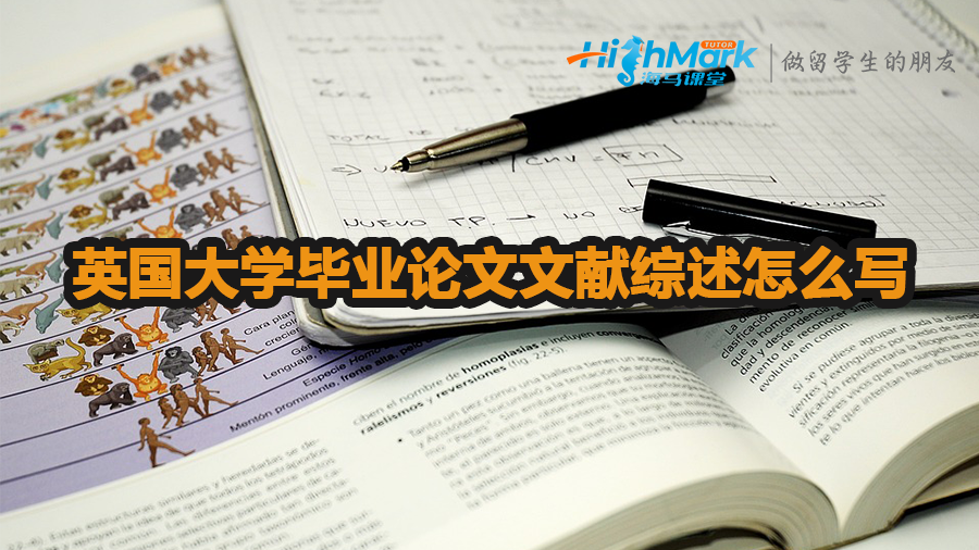 英国大学毕业论文文献综述怎么写