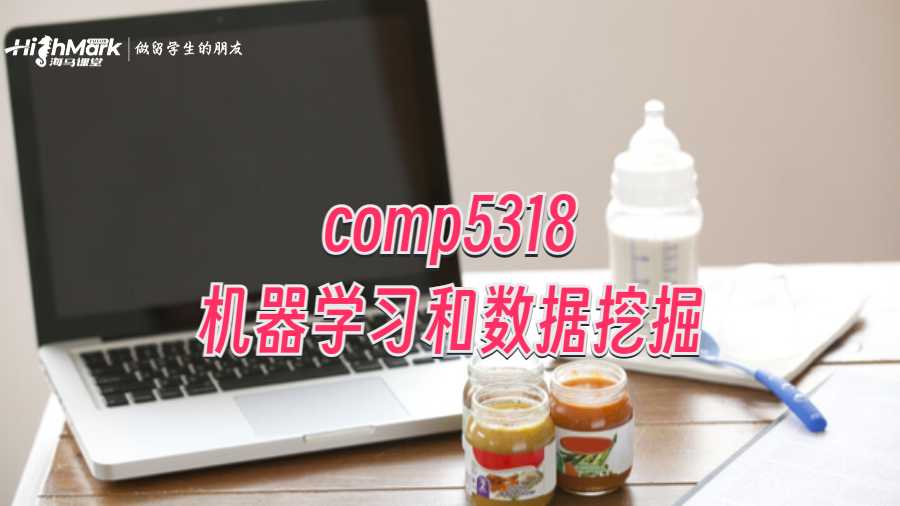 comp5318机器学习和数据挖掘