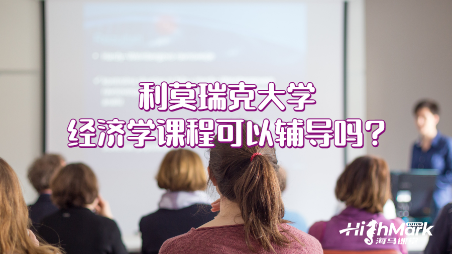 利莫瑞克大学经济学课程可以辅导吗?