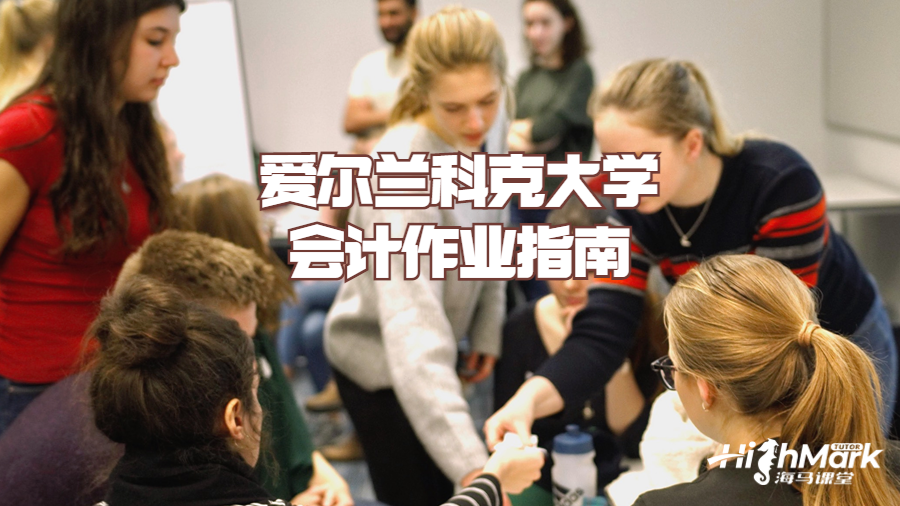 爱尔兰科克大学会计作业指南