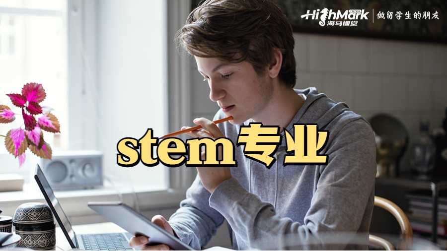 stem专业