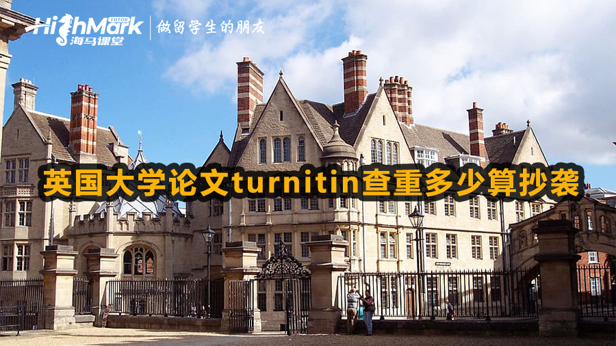 英国大学论文turnitin查重多少算抄袭