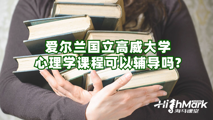 爱尔兰国立高威大学心理学课程可以辅导吗?