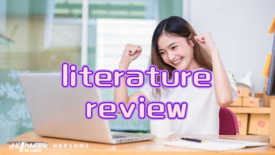 怎么写literature review