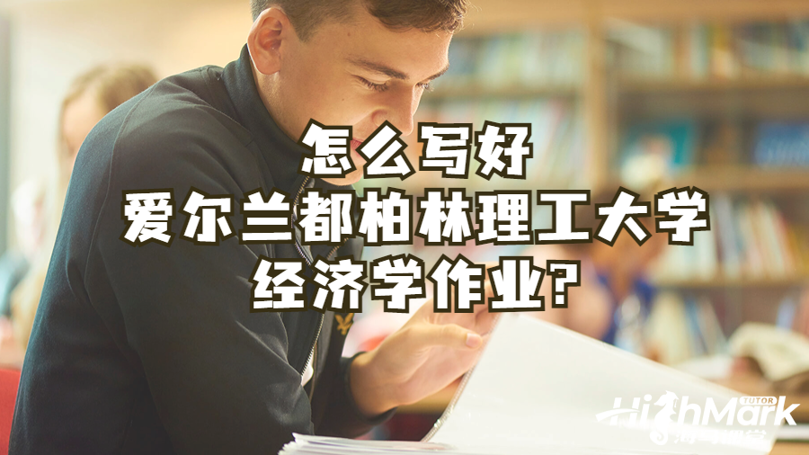 怎么写好爱尔兰都柏林理工大学经济学作业?