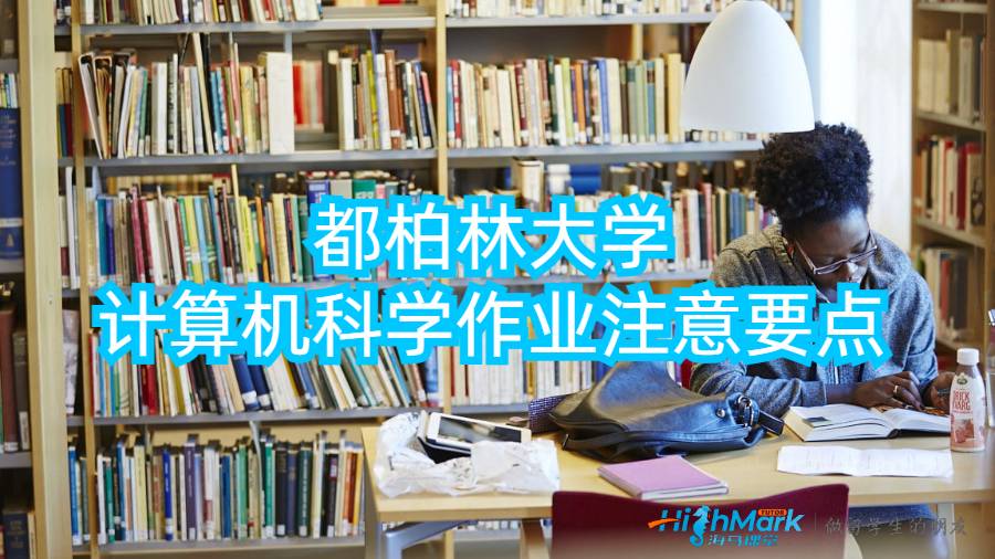 都柏林大学计算机科学作业注意要点